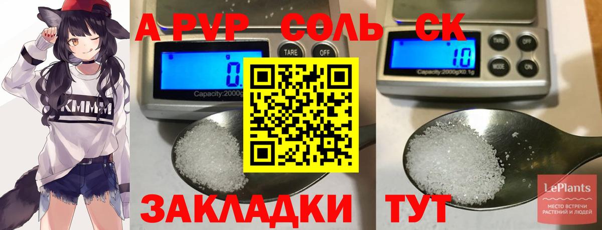 Альфа ПВП СК Владивосток